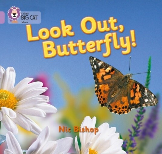 Look Out Butterfly! Look Out Butterfly!