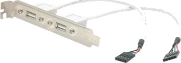 Startech 2 Port Usb A Female Slot Plate Adapter - Usb Panel - Usb (F) To 5 Pin In-Line (F) - Usbplate - Usb-Panel - Usb (Hunn) Til 5 Pin I Linje (Hunn)