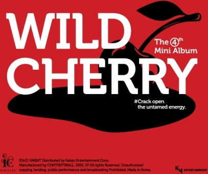 Ichillin Wild Cherry incl. 64pg Photobook, Folded Poster, Photocard, Fruit Identity Photocard, Postcard, Sticker + Wind Instant Photo CD