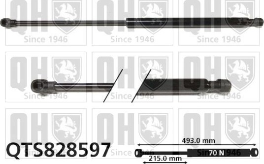 QUINTON HAZELL QTS828597 Baklukedemper