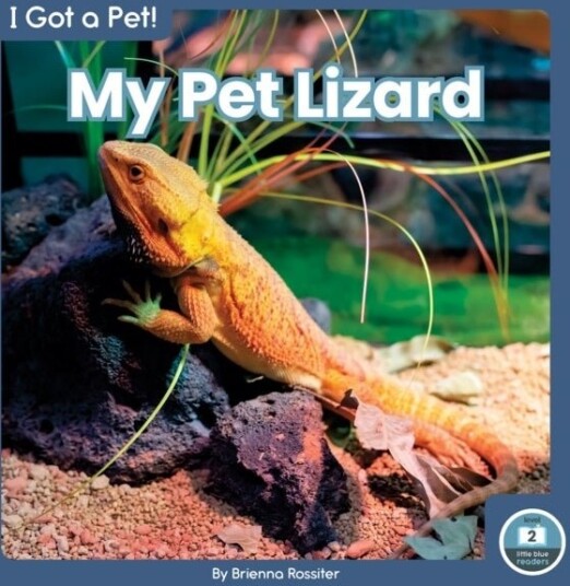 I Got a Pet! My Pet Lizard I Got a Pet! My Pet Lizard