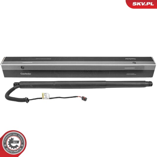 Elektromotor bakluke ESEN SKV 52SKV198