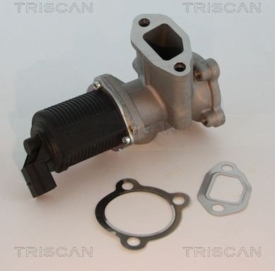 EGR ventil TRISCAN 8813 10003