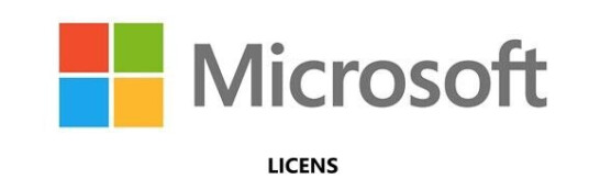 Microsoft SharePoint Server Standard CAL
