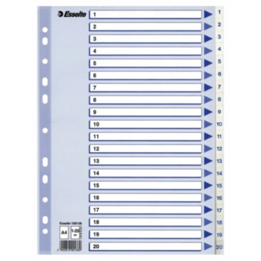 Register Esselte PP A4 1-20 Hvit