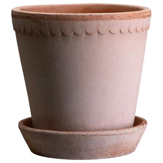 Bergs Potter Helena Krukke Rose 25 cm