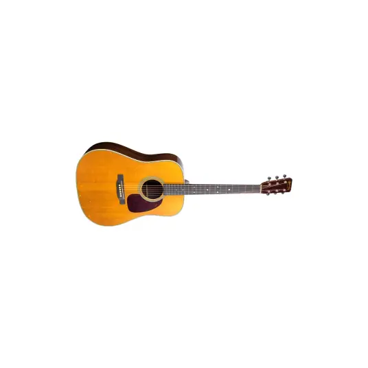 Martin D-28 Rich Robinson Martin D-28 Rich Robinson