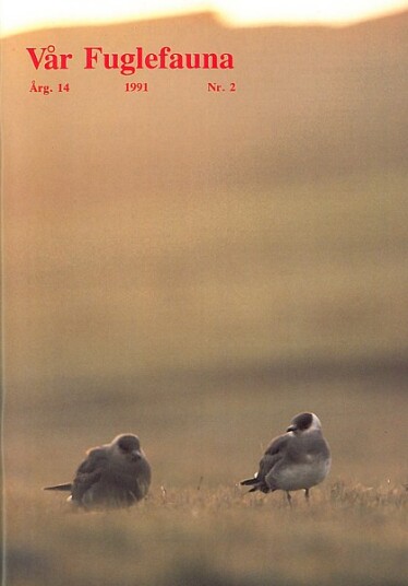 Norsk Ornitologisk Forening Vår Fuglefauna   1991 2 årgang 14