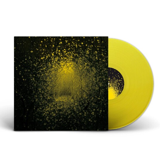 The Antlers Burst Apart LP/Vinyl The Antlers Burst Apart LP/Vinyl