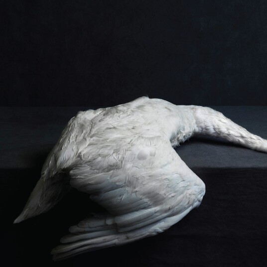 Amenra  Mass Vi  CD