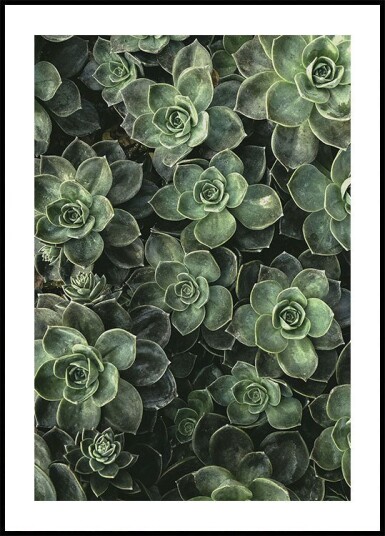 Close Up Green Plakat Plakat / 100x150cm