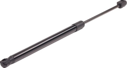 RIDEX 219G0102 Baklukedemper