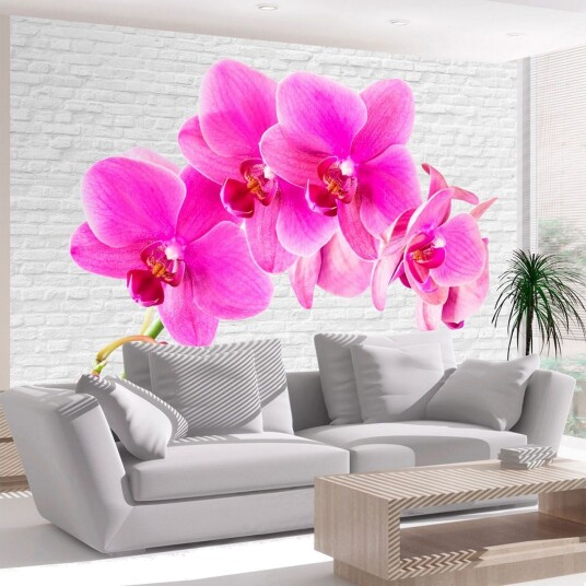Fototapet Pink Excitation 150x105 - Artgeist sp. z o. o.