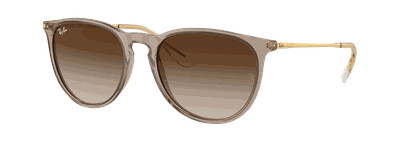 Ray-ban Transparent Light Brown solbriller dame Brun 54