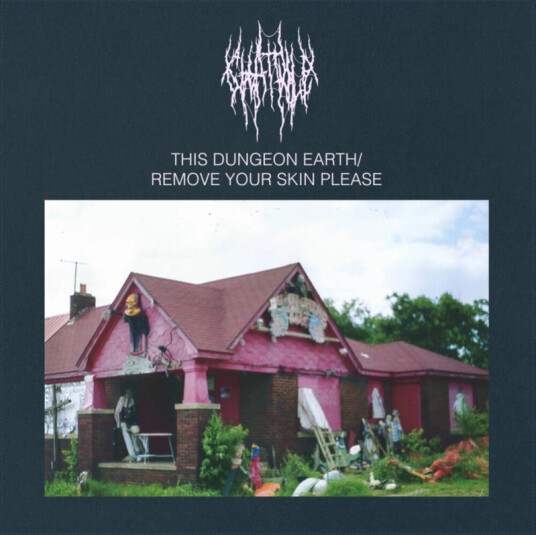 Chat Pile This Dungeon Earth / Remove Your Skin Please CD
