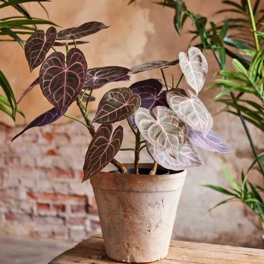 Anthurium kunstig plante H60 279686 Anthurium kunstig plante H60 279686