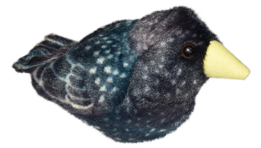Wild Republic Birds with sound from