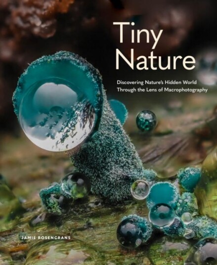 Tiny Nature Discovering Nature's Hidden World Through the Lens of Macrophotography