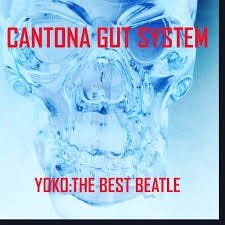 Cantona Gut System  Yoko:The Best Beatle  LP/Vinyl