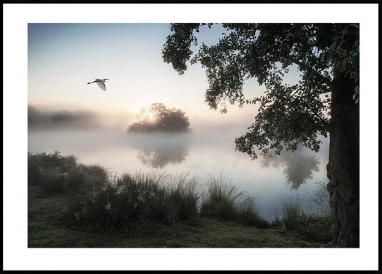 Heron Flying Over a Foggy Lake Plakat Plakat / 50x70cm