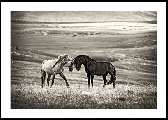close encounter PostER Plakat / 70x100cm close encounter PostER Plakat / 70x100cm