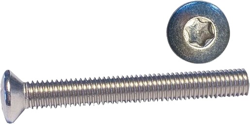 Syrefaste maskinskruer A4, linsehode, torx - M6 - 70 mm - 2 stk