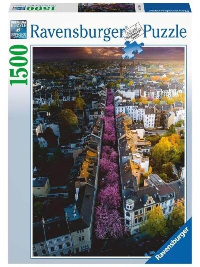 Ravensburger Blooming Bonn 1500pcs