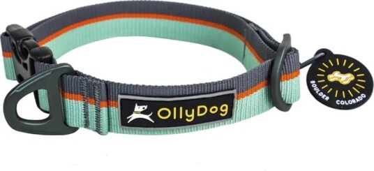 Ollydog Flagstaff Collar L Surf