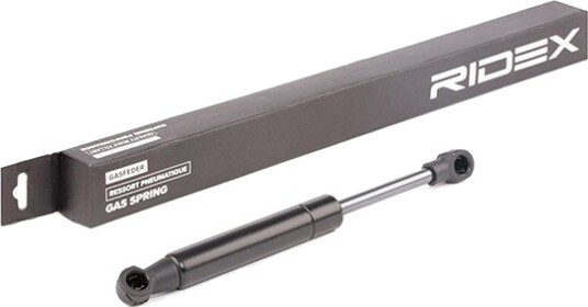 RIDEX 219G0636 Baklukedemper