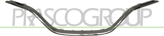 PRASCO RN7022315 Pynte- / vernelist, radiatorgitter