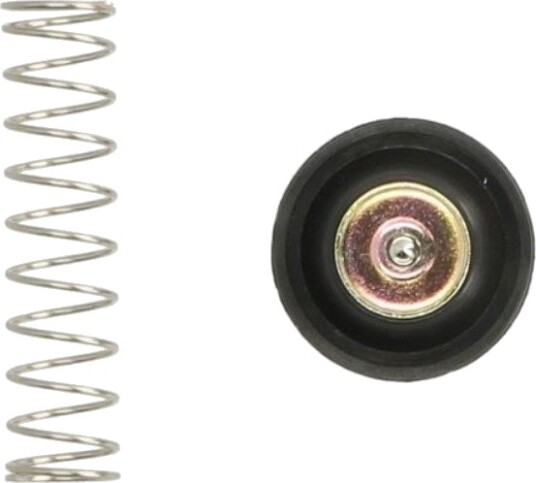 Membran forgasser TOURMAX ACV 112