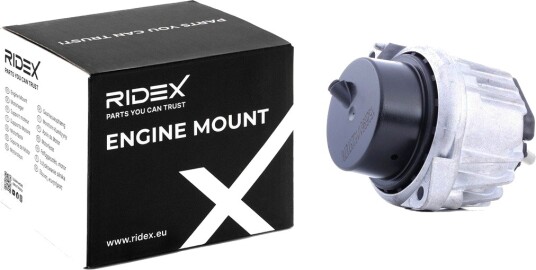 Motorfeste RIDEX 247E0419