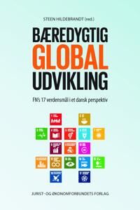 Global Hildebrandt Steen Bæredygtig global udvikling