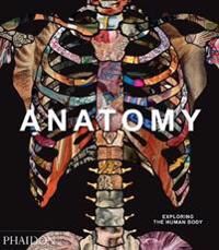 Anatomy Av Phaidon Editors