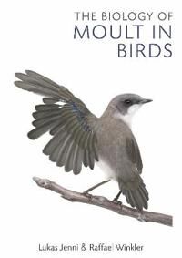 The Biology Of Moult In Birds Av Lukas Jenni, Raffael Winkler