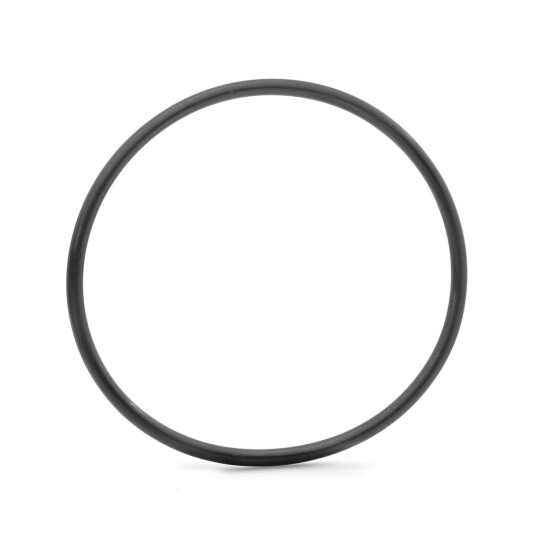 Bosch O-Ring Bosch O-Ring