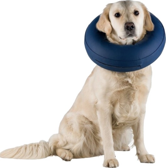 Trixie Oppblåsbar Beskyttelseskrage til Hund S-M 32-40 cm