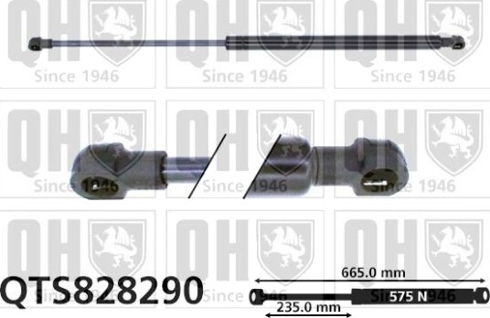 QUINTON HAZELL QTS828290 Baklukedemper