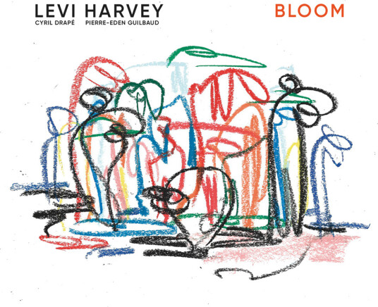 Bloom