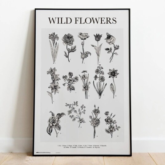 Ville Blomster Sort Hvit Plakat - 91,5 x 61 cm