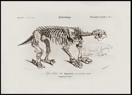 Megatherium Plakat / 40x50 Megatherium Plakat / 40x50