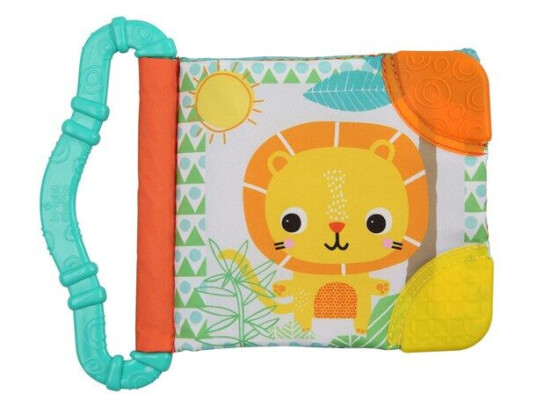 Bright Starts Teething & read Bright Starts Teething & read