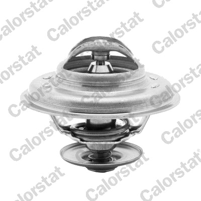 Termostat CALORSTAT by Vernet TH5968.87J