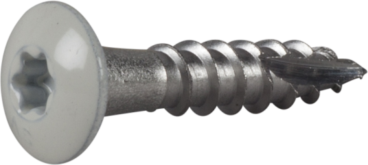 TAKRENNESKRUE PH HVIT 4,8X25 A2-250 TAKRENNESKRUE PH HVIT 4,8X25 A2-250