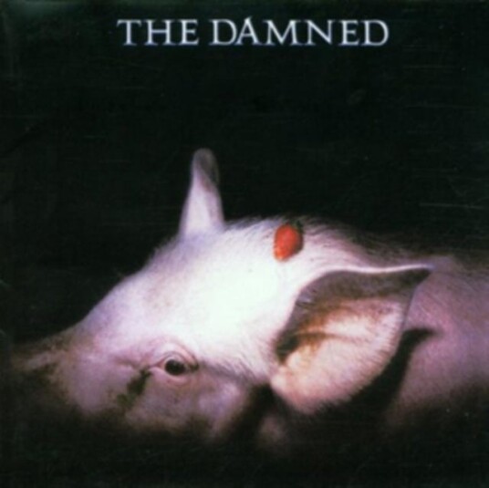 The Damned Strawberries CD The Damned Strawberries CD