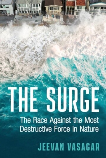 The Surge The Surge