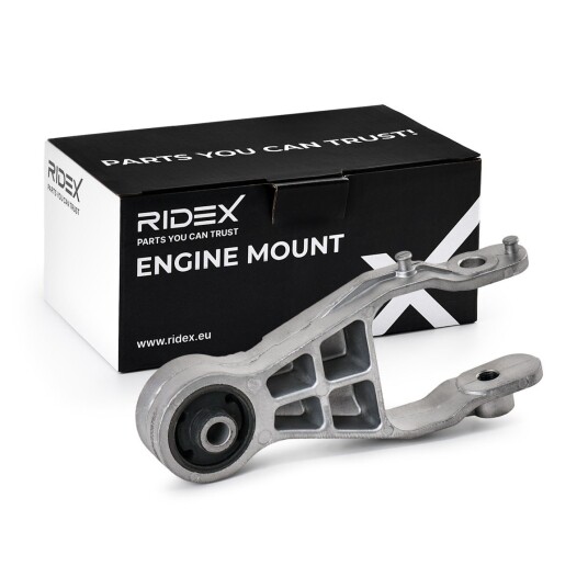 Motorfeste RIDEX 247E1103