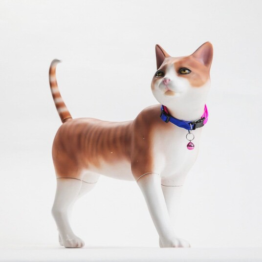 Halsbånd Med Bjelle Til Katt Hunkattfarger