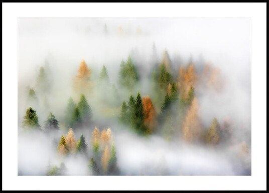 Autumn Dream Plakat Plakat / 21x30cm Autumn Dream Plakat Plakat / 21x30cm