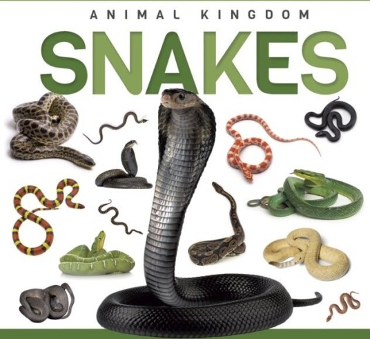 Snakes Snakes